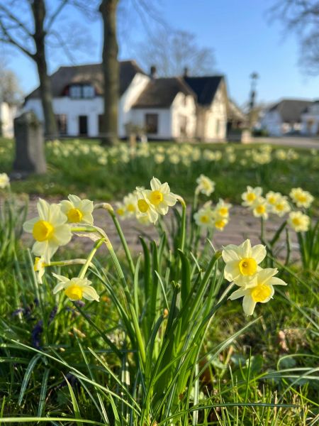 Start Bloemrijken in Maasdriel en Zaltbommel