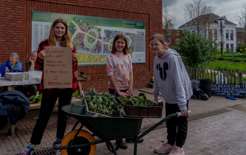 Vlindertuin Tiel verkoopt planten!