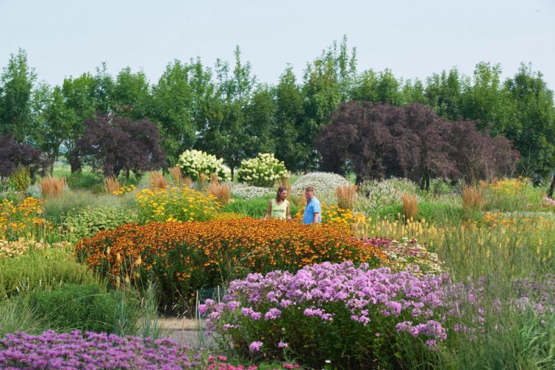 Plantenfestijn in Appeltern