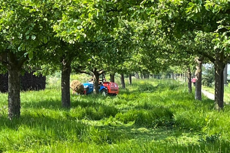 Bloemrijke(n) Bijeenkomst in Buren