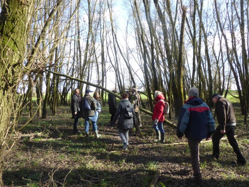 IVN-Excursie Stiftsche Uiterwaarden