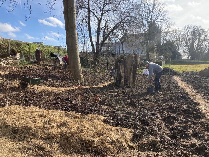 Oplevering Tiny Forest De Kaardebol