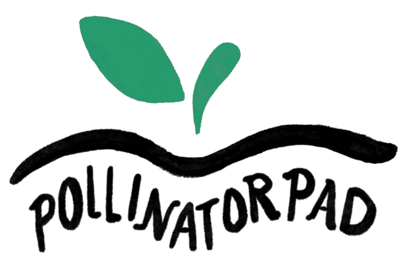 Tweede bijeenkomst Pollinator Pad voor bestuivers