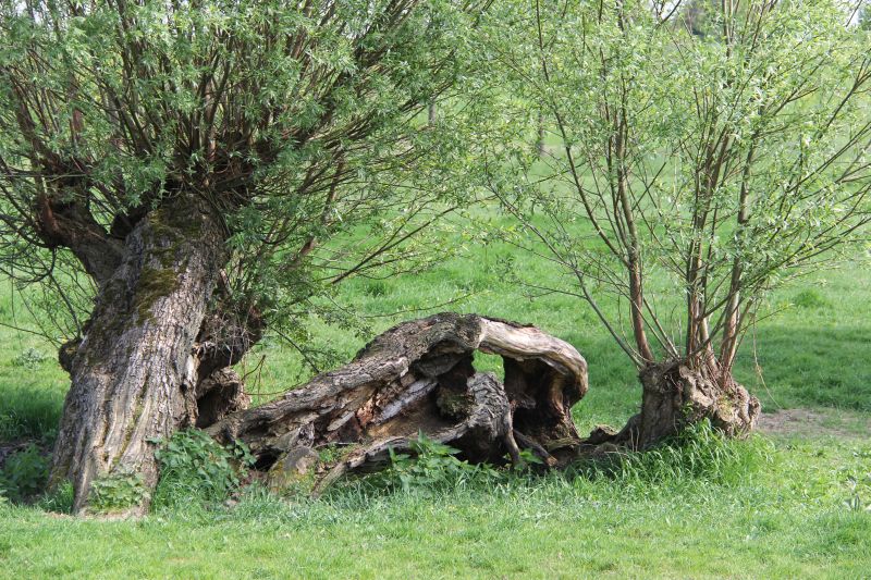 Slotbijeenkomst Deltaplan Landschapselementen