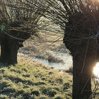Aanleg en beheer van landschapselementen