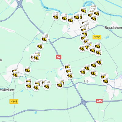 We starten met het Bestuiverspad = Pollinator Pad!