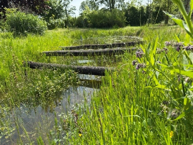 Inspirerende tuin-excursie in Rijswijk/Ravenswaaij 1