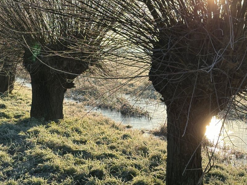 Aanleg en beheer van landschapselementen