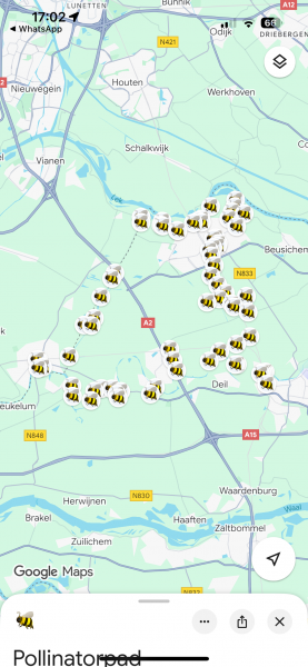 We starten met het Bestuiverspad = Pollinator Pad!