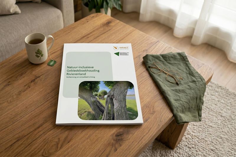 Natuur-inclusieve gebiedsboekhouding Rivierenland
