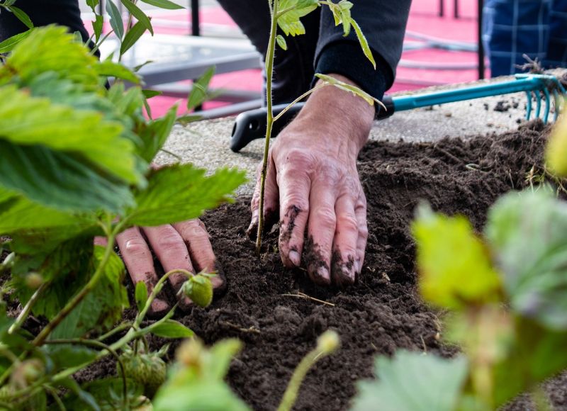 Tuinreis in 6 lessen!